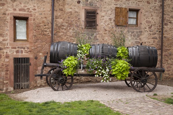 Wooden cart with wine barrels