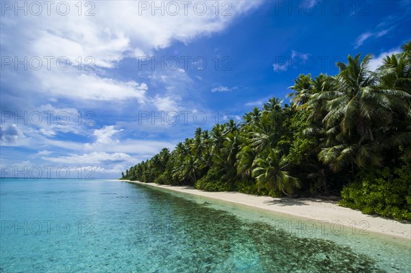White sand beach and turquoise water in the Ant Atoll
