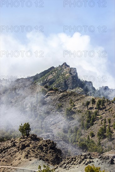 View from Pico de las Nieves