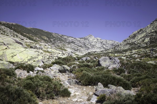 Sierra de Gredos