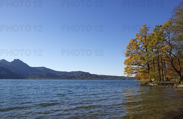 Autumn at Lake Kochel or Kochelsee Lake