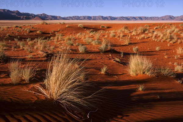 Southern foothills of the Namib desert