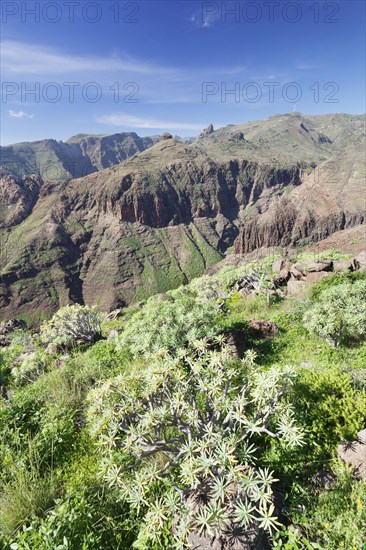 Barranco de Vera gorge