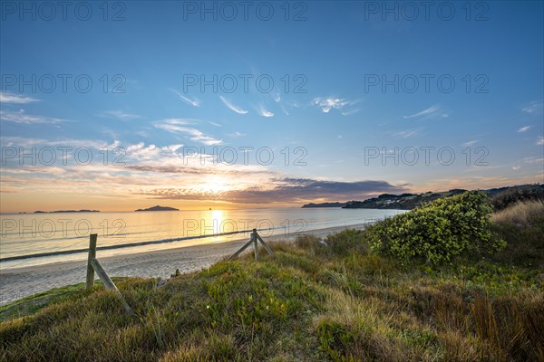 Overgrown dunes at Waipu Beach at sunrise