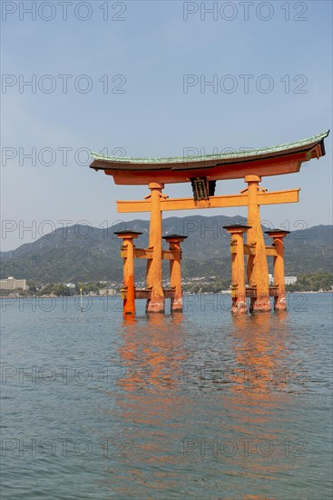 Itsukushima Floating Torii Gate in Water