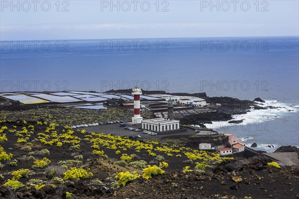 Coastline with Teneguia saltworks