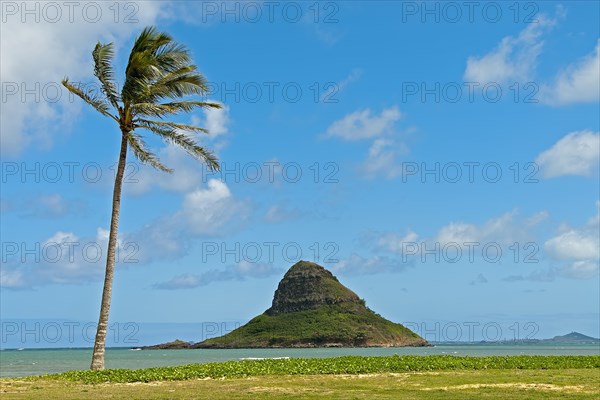 Chinaman's Hat