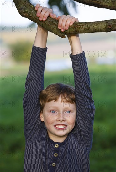 Boy hanging from a tree