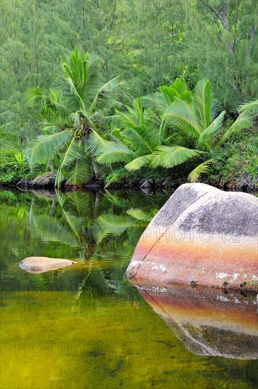 Rocks in the lagoon