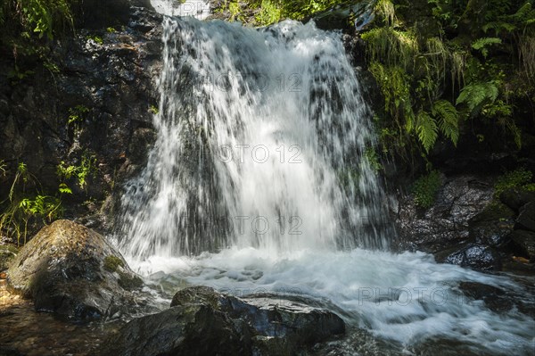 Todtnau Waterfalls