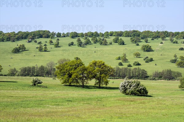 Certoryje National Nature Reserve and Vojsice meadows