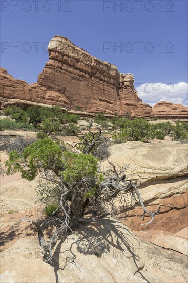 Rock formations