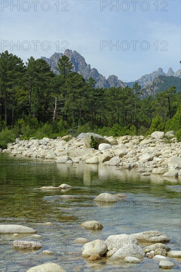 River Solenzara