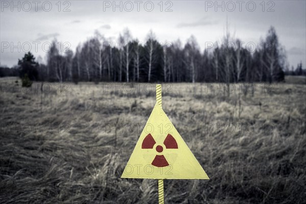 Wooded area in the contaminated zone between Pripyat and Chernobyl