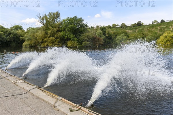 Ventilation of Lake Max-Eyth due to fish mortality