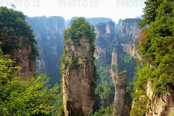 Avatar' mountains with vertical quartz sandstone rocks