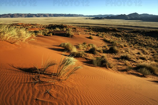 Southern foothills of the Namib desert