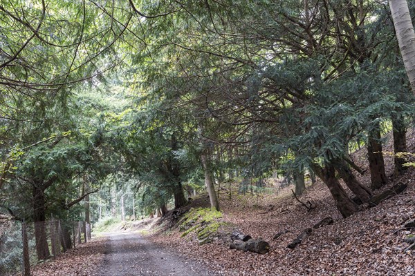 Ibengarten nature reserve