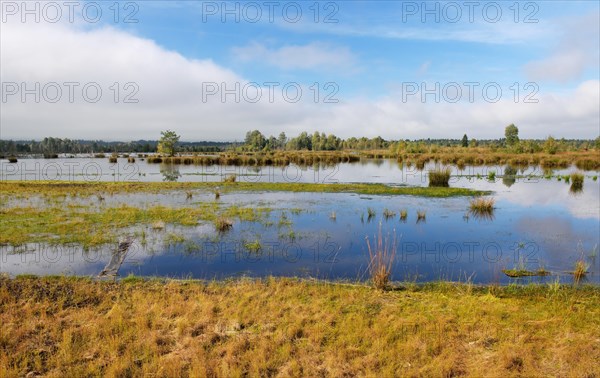 Waterlogged