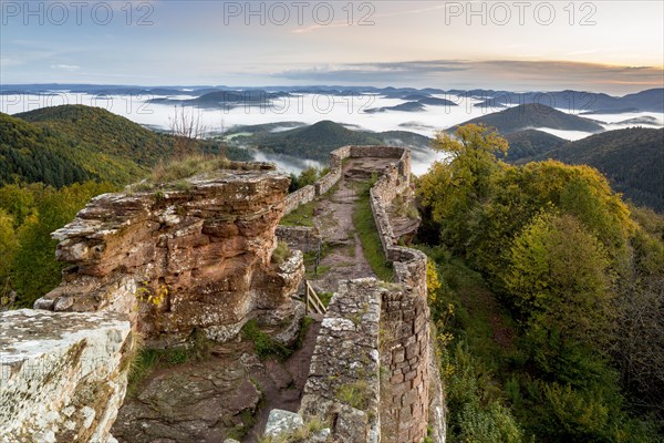 View of the Palatinate Forest from Wegelnburg Castle