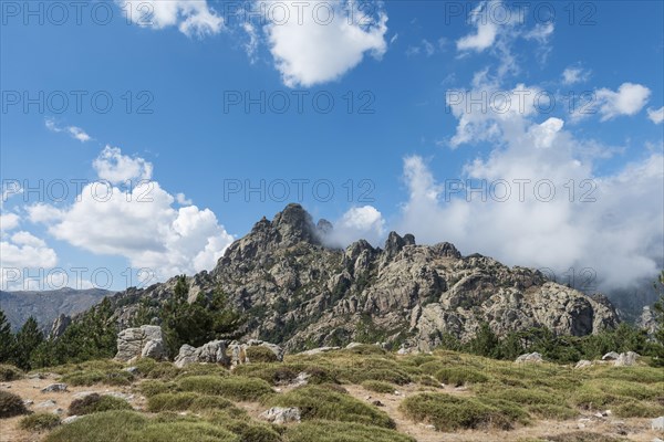 Rocky mountain landscape