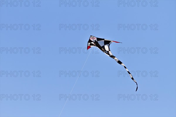Black and white checkered kite with red wing tips flying in a blue sky