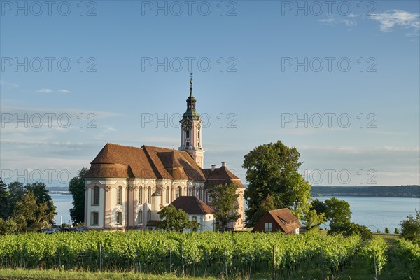 Pilgrimage church Birnau with vineyards