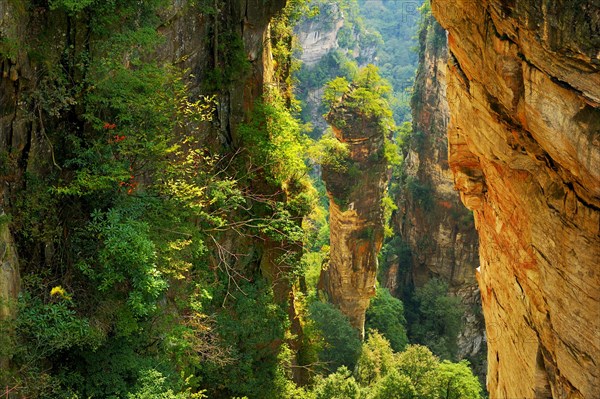 Avatar Mountains with vertical quartz-sandstone pillars