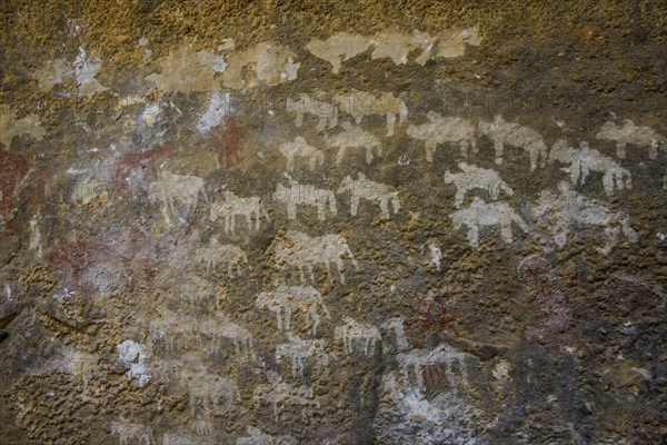 Ancient rock paintings at Qohaito