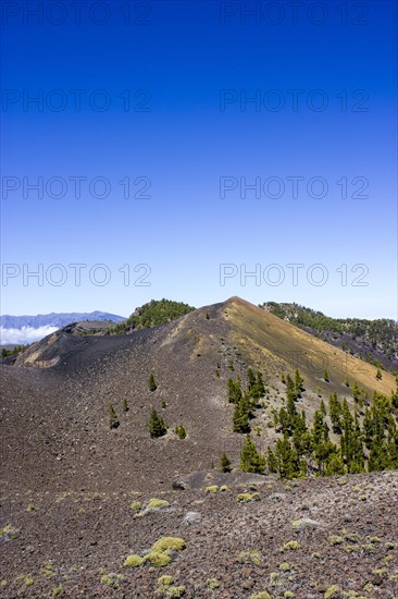 Volcanic landscape