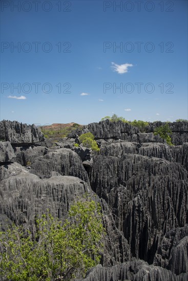 Karst Landscape