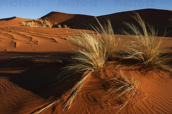 Southern foothills of the Namib desert