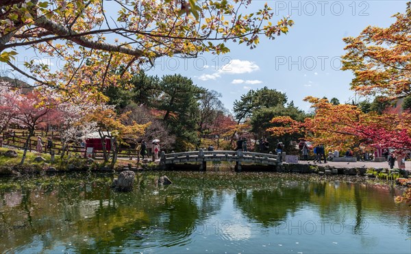 Bridge over a pond in Maruyama Park