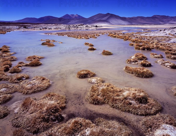 Volcanic landscape