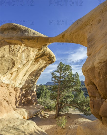 Rock formations in Devil's Garden