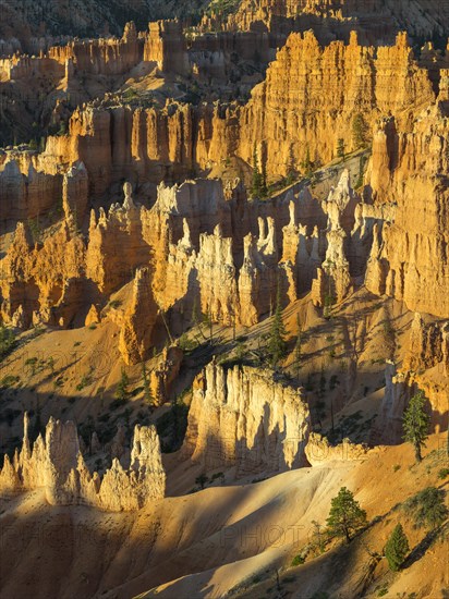 Rocks at Sunrise Point in the morning light