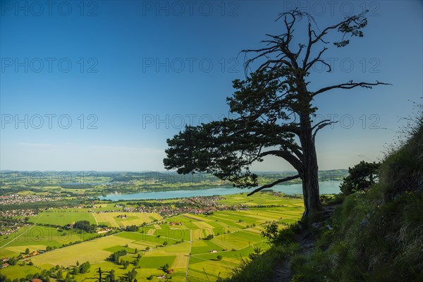 View from Tegelberg mountain massif