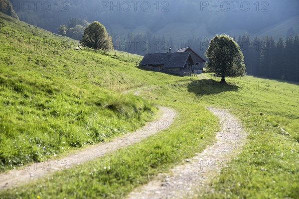 Gross Euchst Alm