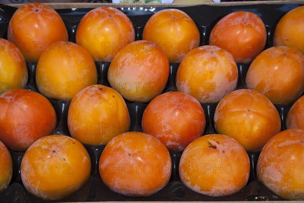 Persimmons (Diospyros kaki) in a fruit crate