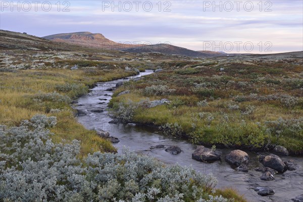 Mountain stream in the fjell landscape in autumn