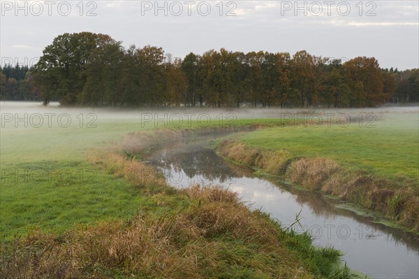 Evening fog on the river Aller