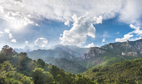 Rocky landscape with pines and cloudy sky