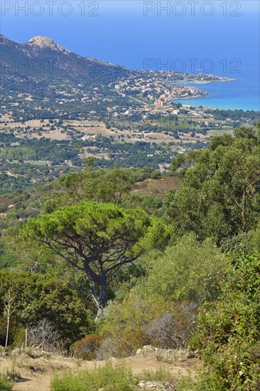 The Bay of Calvi