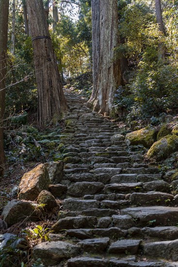 Old stony path