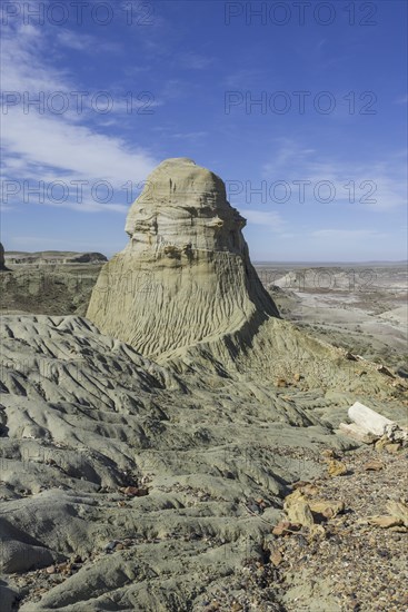 Petrified forest Bosque Petrificado National Monument