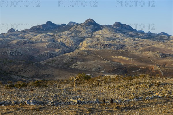 Giant rock mountains at the Dixsam plateau