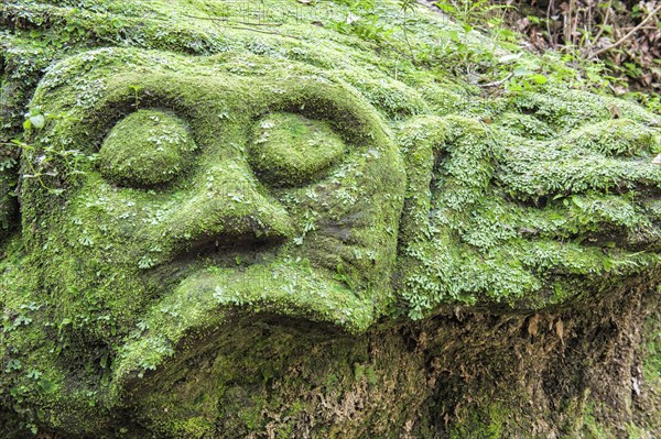 Moss-covered sculpture in the forest