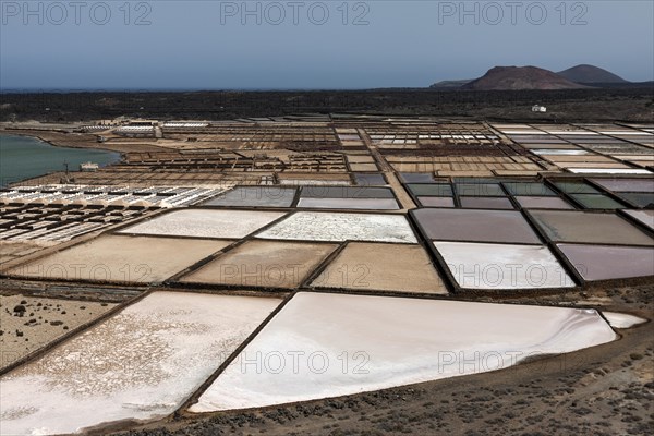 Sea salt production