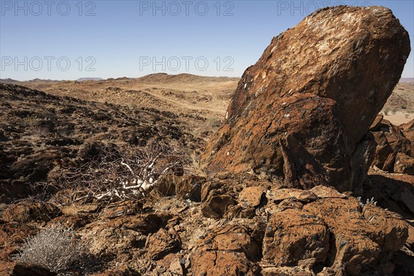 Landscape by the C39 between Khorixas and Bersig