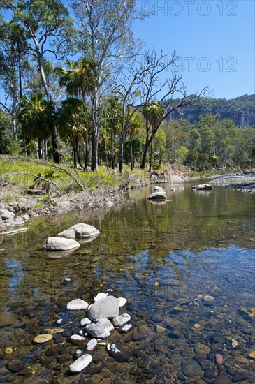 River flowing through the Carnarvon National Park